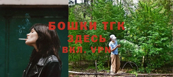 Альфа ПВП Аркадак