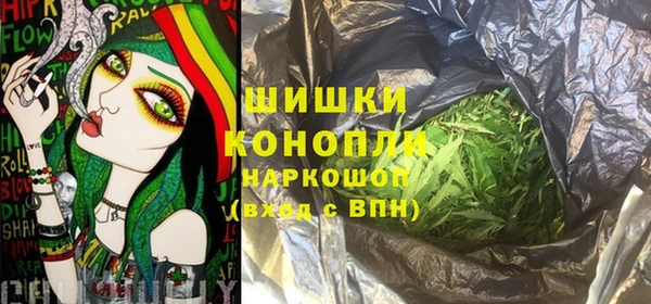 молекула духа Арсеньев