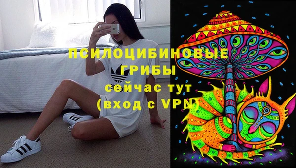 Альфа ПВП Аркадак