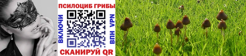Псилоцибиновые грибы Magic Shrooms Белая Калитва